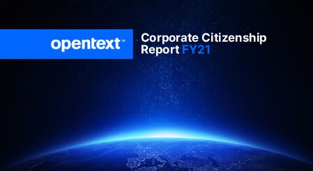 Corporate Citizenship - Download report